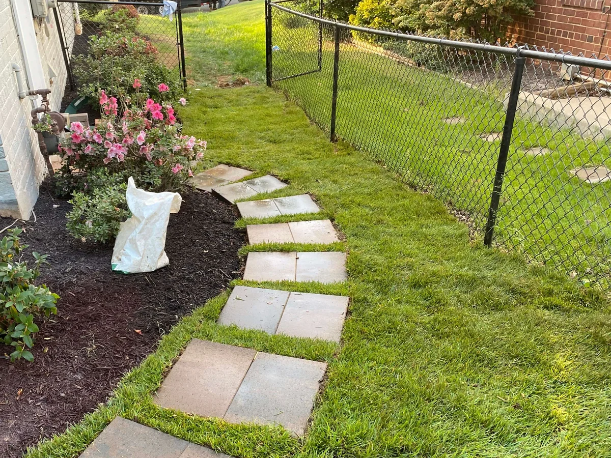 Millennium Landscaping Project