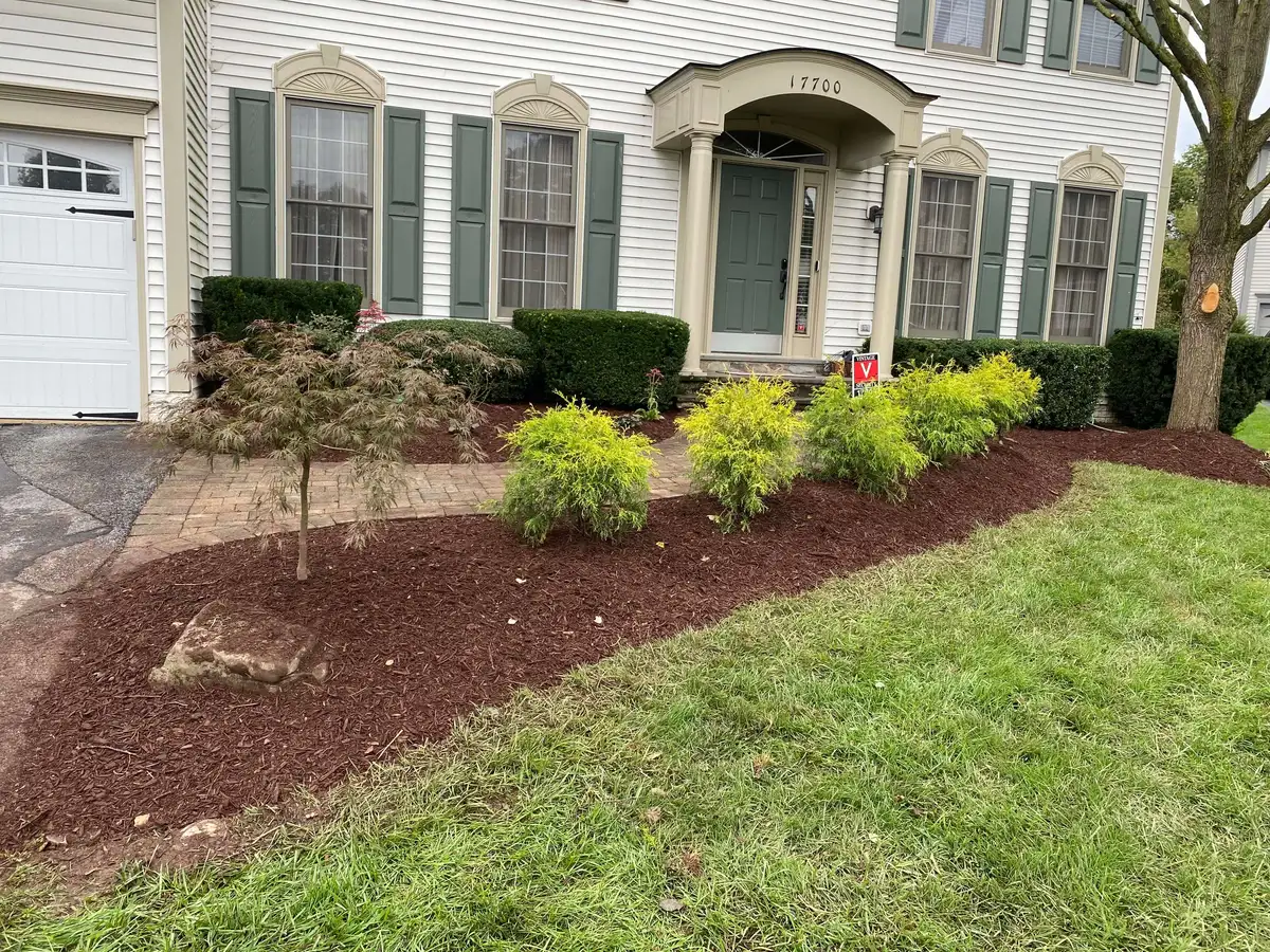 Millennium Landscaping Project