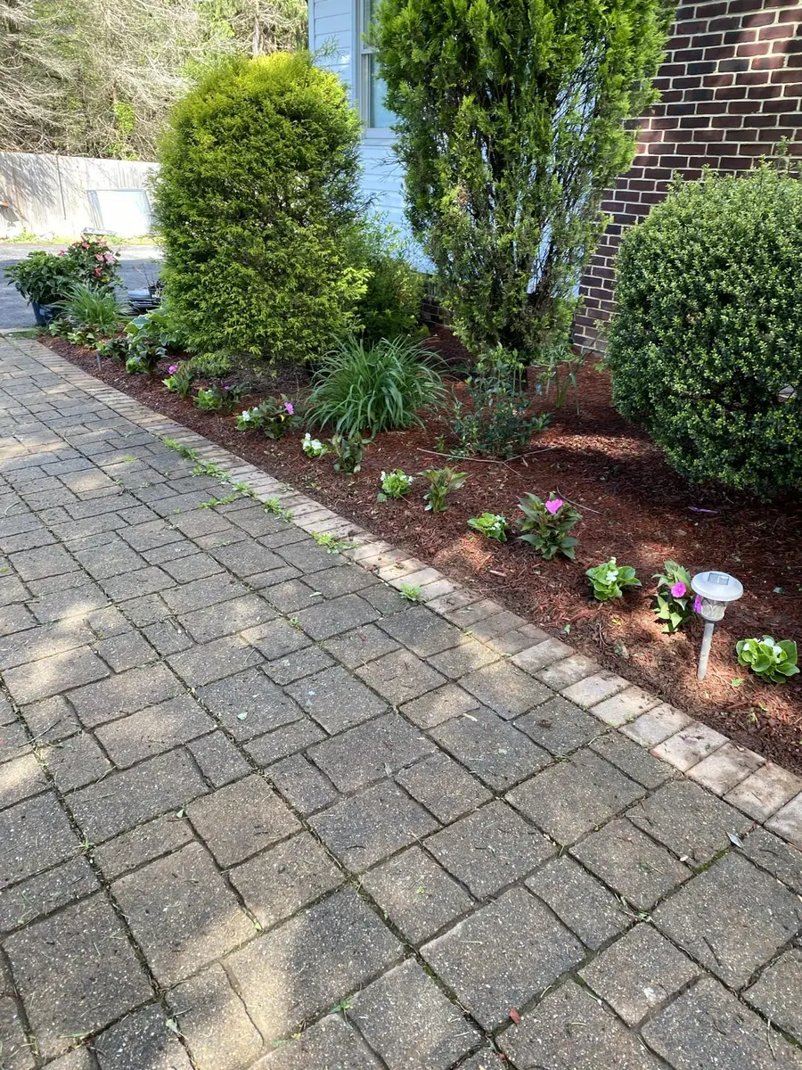 Millennium Landscaping Project